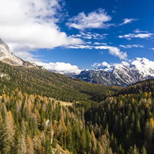 Autumn color near to Cortina d Ampezzo in the Dolomites, Veneto, Italy, Europe
