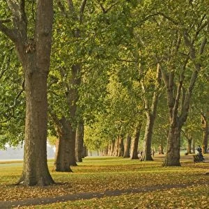 Autumn, Hyde Park, London, England, United Kingdom, Europe