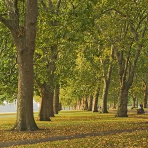 Autumn, Hyde Park, London, England, United Kingdom, Europe