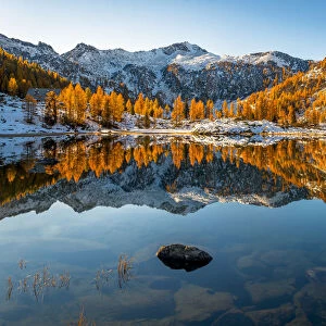 Autumn mirror at San Giuliano lake, Dolomiti di Brenta Natural Park, Dolomites, Trentino-Alto Adige