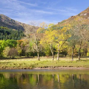 Autumn view across Loch Lubnaig to the slopes of Ben Ledi, near Callander