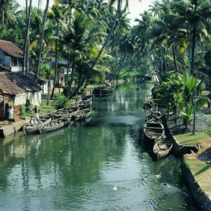 The backwaters