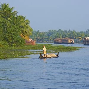 Backwaters, Allepey, Kerala, India, Asia