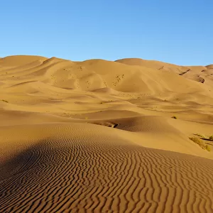 Badain Jaran Desert, Gobi Desert, Inner Mongolia, China, Asia