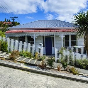Baldwin Street, the worlds steepest residential street, Dunedin, Otago, South Island, New Zealand, Pacific