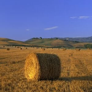 Bales of hay at sunrise