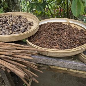 Balinese raw spices, Bali, Indonesia, Southeast Asia, Asia