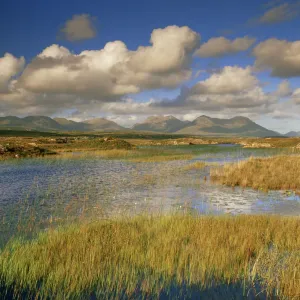 Ballynahinch and the Twelve Pins