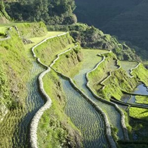 Banaue mud-walled rice terraces of Ifugao culture, UNESCO World Heritage Site