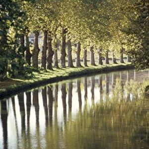 The banks of the Hure, Canal Lateral a la Garonne, Gironde, Aquitaine, France, Europe
