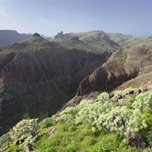 Barranco de Vera Valley, Roque del Sombrero Mountain, near San Sebastian, La Gomera, Canary Islands, Spain, Europe