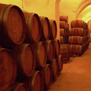 Barrels in wine cellar