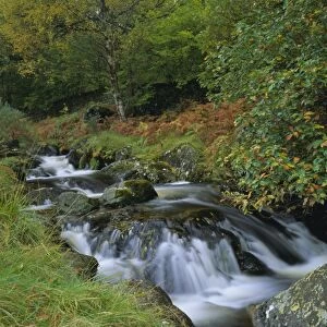 Barrow Beck and autumnal woodland near Ashness Bridge, Borrowdale, Lake District National Park