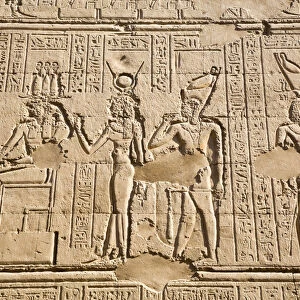 Bas Relief, External Wall, Temple of Khnum, Esna, Egypt, North Africa, Africa
