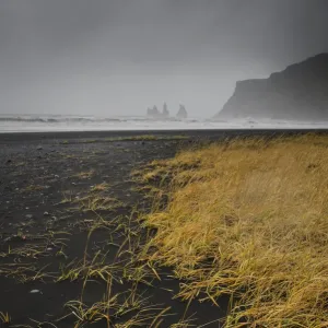 Basalt rock formations (sea stacks) and black sand beach in Vik, Iceland, Polar Regions