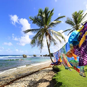 Bathsheba, colourful garments blow in the breeze, windswept palm trees, Atlantic waves