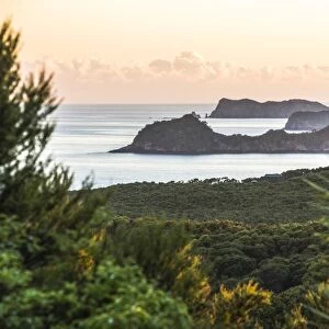 Bay of Islands coastline at sunrise, seen from Russell, Northland Region, North Island