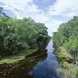 Bayou in swampland at Jean Lafitte National Historic
