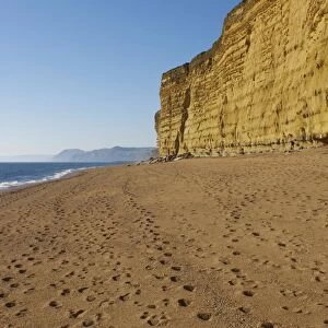 Beach and cliffs, Burton Bradstock, Jurassic Coast, UNESCO World Heritage Site