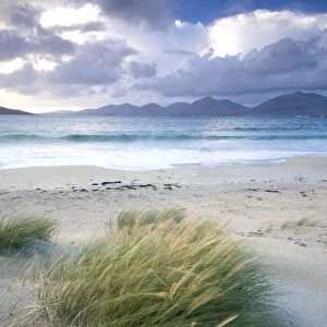 Beach at Luskentyre with dune grasses blowing in the foreground and the hills of North Harris in the distance, Isle of Harris, Outer Hebrides, Scotland