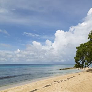 Beach near Speightstown, St. Peter, Barbados, West Indies, Caribbean, Central America
