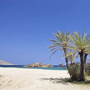 Beach and Palm Tree Forest, Vai, Lasithi, Eastern Crete, Crete, Greek Islands, Greece, Europe
