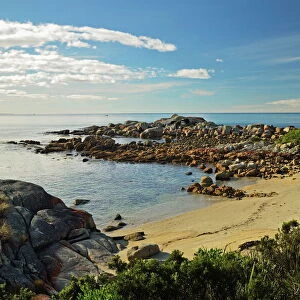 Beach at St. Helens Conservation Area, St. Helens, Tasmania, Australia, Pacific
