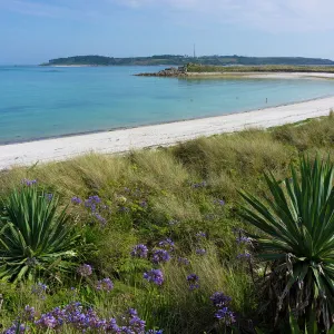 Beach on Tresco island, Scilly Isles, United Kingdom, Europe