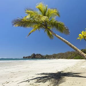Beautiful palm fringed, white sand Playa Carrillo, Carrillo, nr Samara, Guanacaste Province, Nicoya Peninsula, Costa Rica, Central America