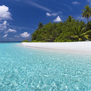 Beautiful sandy beach, lagoon and palm trees, The Maldives, Indian Ocean, Asia