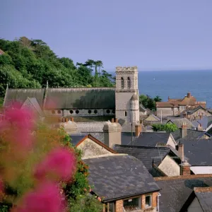 Beer, Devon, England, United Kingdom, Europe