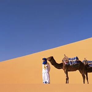 Berber camel leader with three camels in Erg Chebbi sand dunes