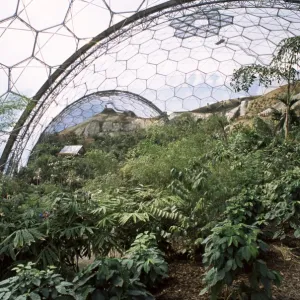 Biome interior, The Eden Project, near St. Austell, Cornwall, England, United Kingdom