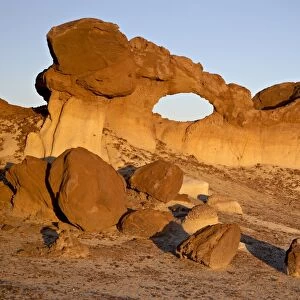 Bisti Arch, Bisti Wilderness, New Mexico, United States of America, North America