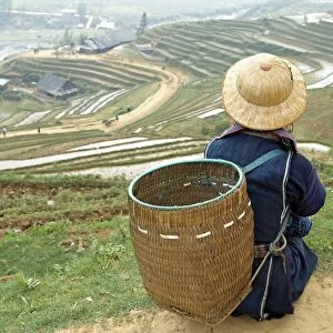 Black Hmong ethnic group and rice fields, Sapa area, Vietnam, Indochina, Southeast Asia, Asia