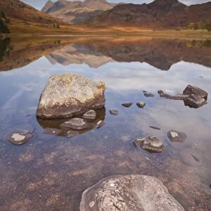 Blea Tarn and the Langdale Pikes in the Lake District National Park, Cumbria, England, United Kingdom, Europe
