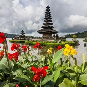 Blooming flowers before the Pura Ulun Danu Bratan temple, Bali, Indonesia, Southeast Asia