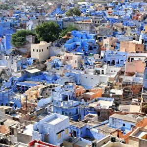 Blue City, Jodhpur, Rajasthan, India, Asia