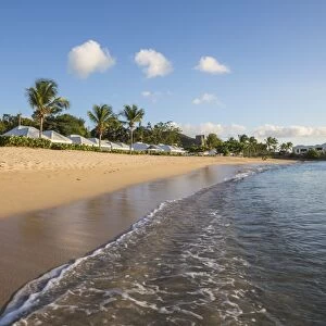 Blue sky and palm trees frame the beach and the Caribbean sea, Hawksbill Bay, Antigua