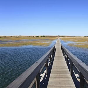 Boardwalk, Salt Marsh, Sandwich, Cape Cod, Massachusetts, New England, United States of America, North America
