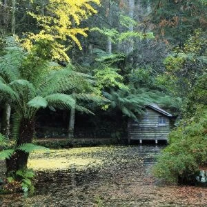The boathouse, Alfred Nicholas Gardens, Dandenong Ranges, Victoria, Australia, Pacific