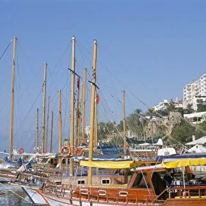 Boats in the harbour