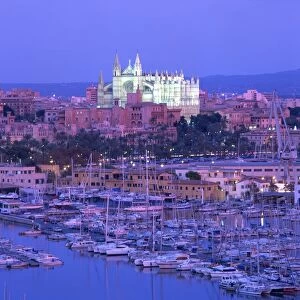 Boats in the marina at dusk with the cathedral of Palma on the skyline