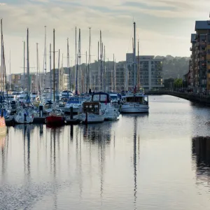 Boats moored in the newly completed marina in Portishead, Somerset, England, United Kingdom, Europe