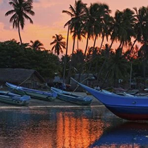 Boats and palm trees at sunset at this fishing beach and popular tourist surf spot, Arugam Bay, Eastern Province, Sri Lanka, Asia
