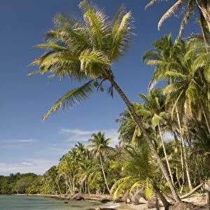 Bocas Del Drago, Isla Colon, Bocas Del Toro, Panama, Central America