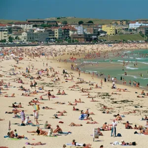 Bondi Beach, NSW, Australia