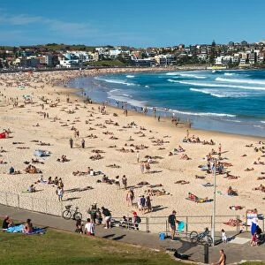 Bondi Beach, Sydney, New South Wales, Australia, Pacific