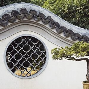 A bonzai tree and toled arch wall in Winding Garden at West Lake, Hangzhou