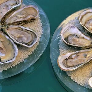 Bouzigues oysters, Chez Philippe, Marseillan port, Herault, Languedoc-Roussillon